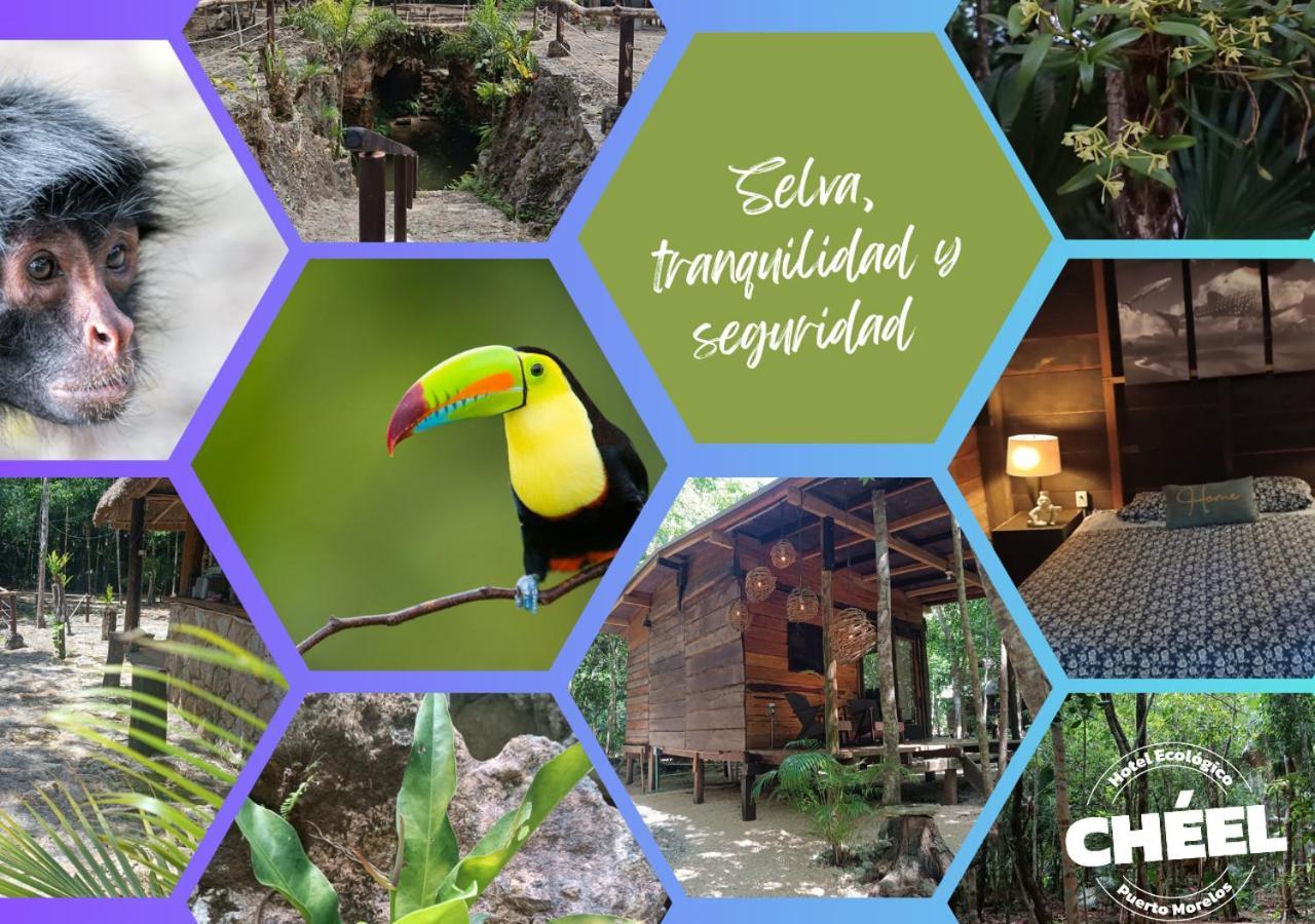 Cheel Lodge & Camping Puerto Morelos Eksteriør billede