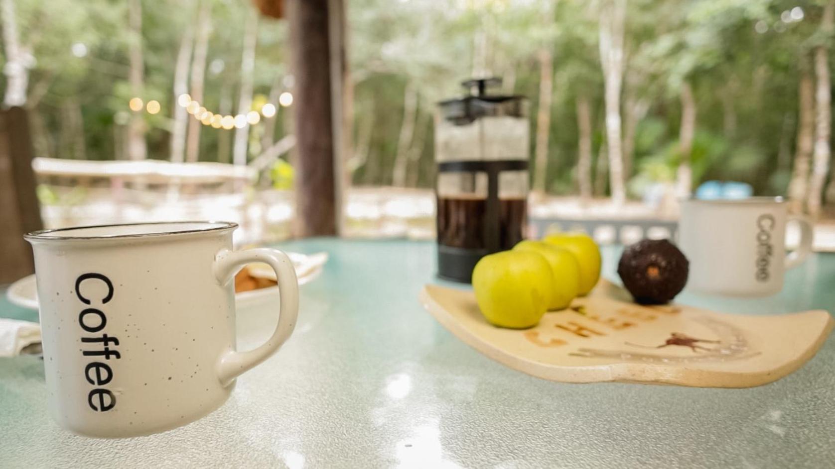 Cheel Lodge & Camping Puerto Morelos Eksteriør billede