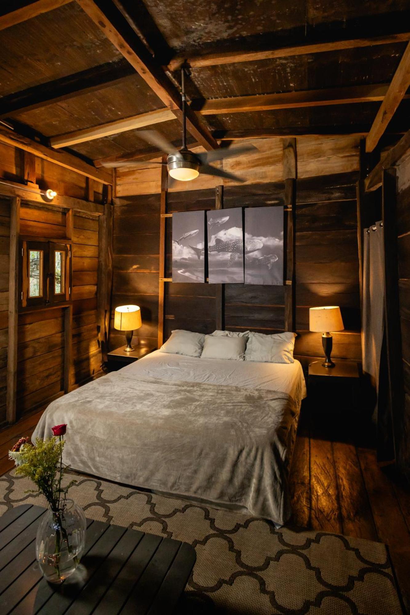 Cheel Lodge & Camping Puerto Morelos Eksteriør billede