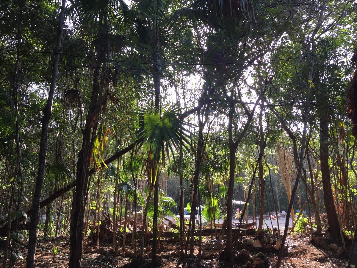 Cheel Lodge & Camping Puerto Morelos Eksteriør billede