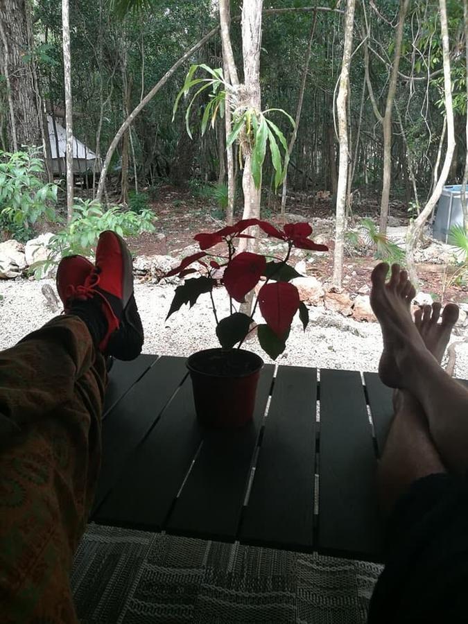 Cheel Lodge & Camping Puerto Morelos Eksteriør billede