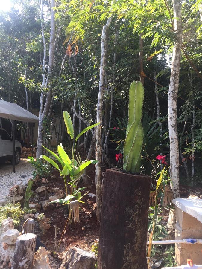 Cheel Lodge & Camping Puerto Morelos Eksteriør billede