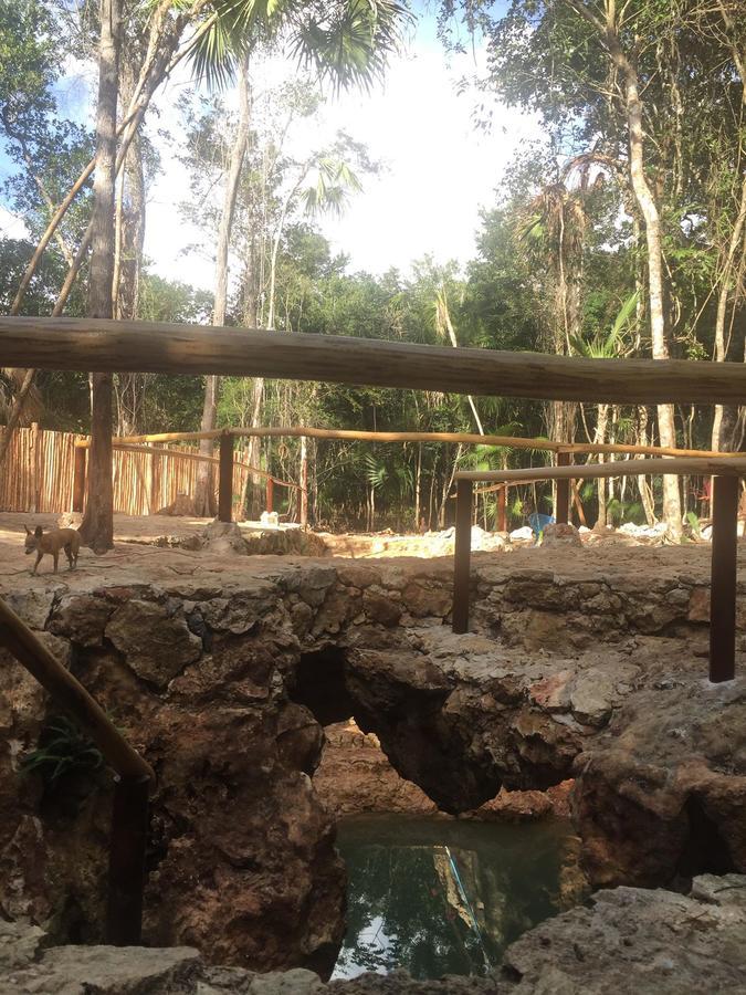 Cheel Lodge & Camping Puerto Morelos Eksteriør billede