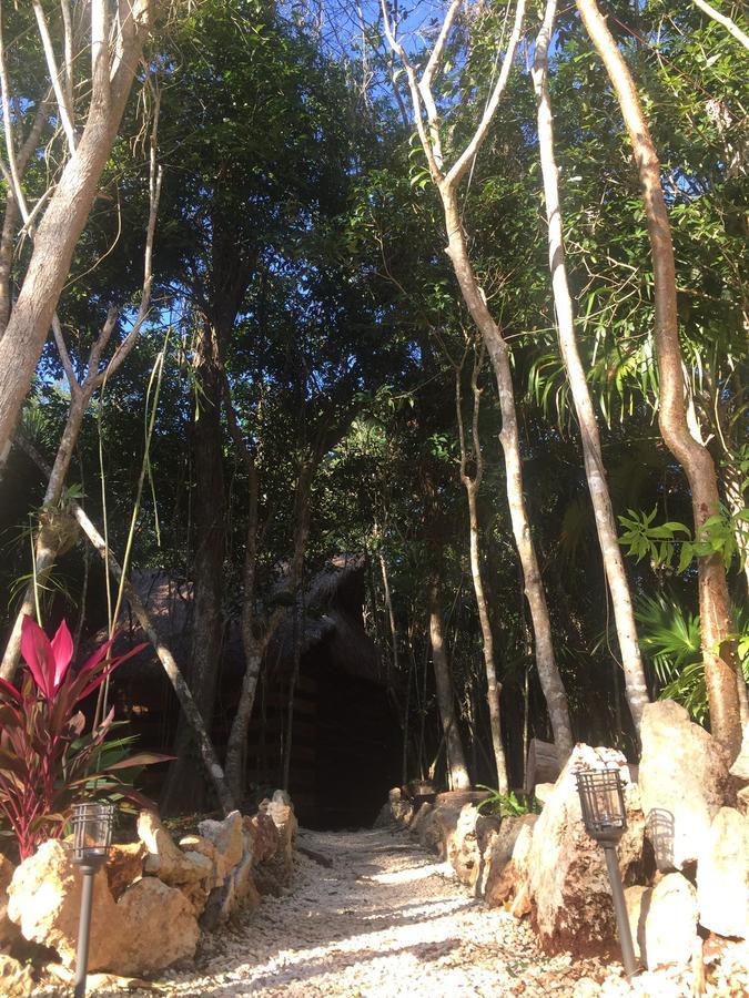 Cheel Lodge & Camping Puerto Morelos Eksteriør billede