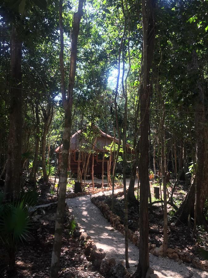 Cheel Lodge & Camping Puerto Morelos Eksteriør billede