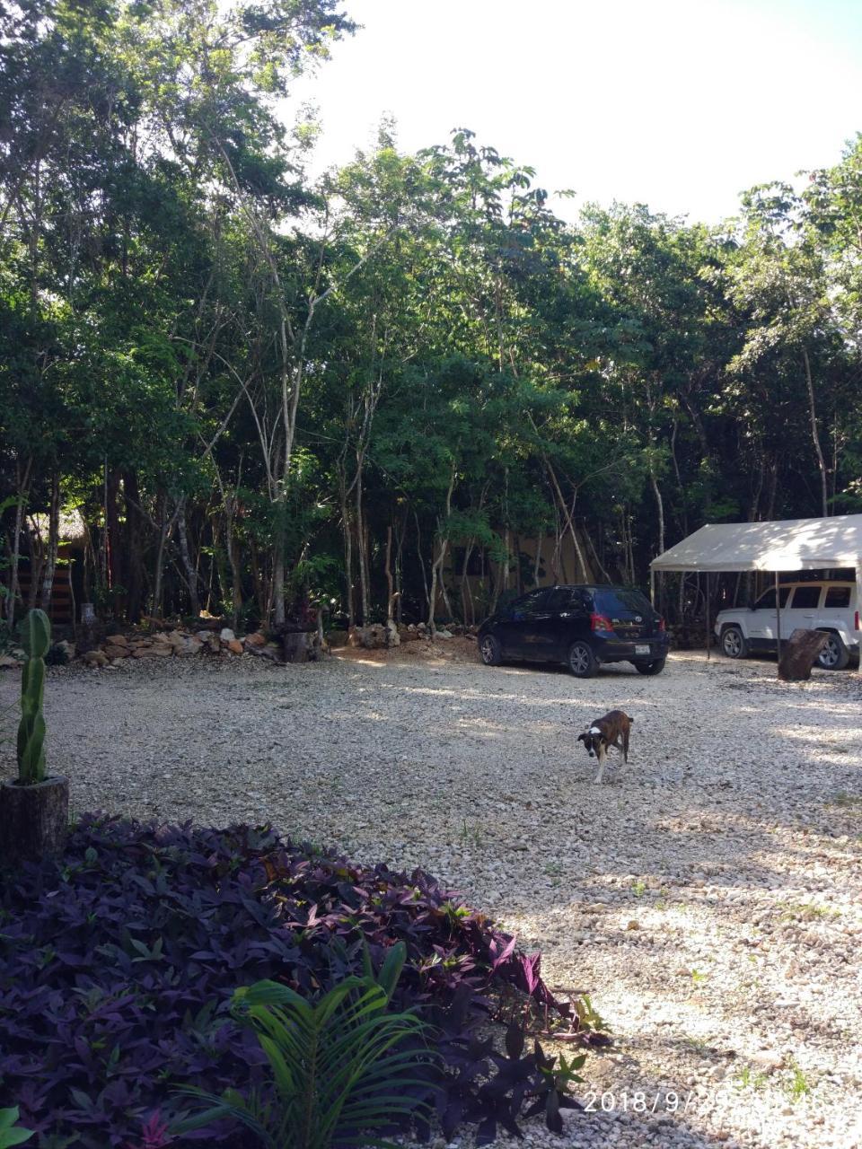 Cheel Lodge & Camping Puerto Morelos Eksteriør billede